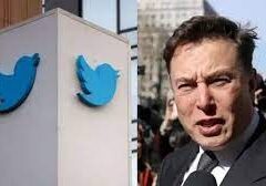 Elon Musk Mundur Sebagai Ceo Twitter Setelah Ada Pengganti Egindo