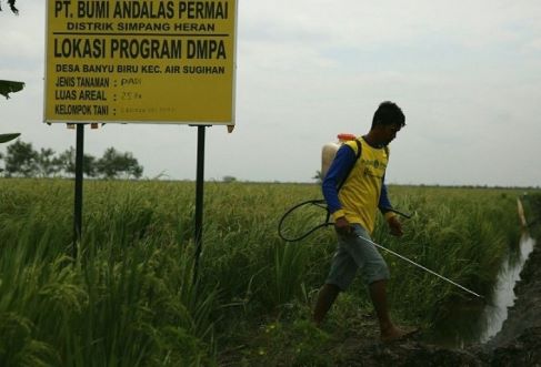 Dampak positif program DMPA

