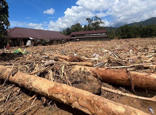 Ribuan kubik kayu gelondongan dari banjir bandang dan longsor di Sumatera