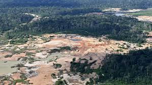 Brasil kehilangan area vegetasi asli yang menyusut akibat El Nino