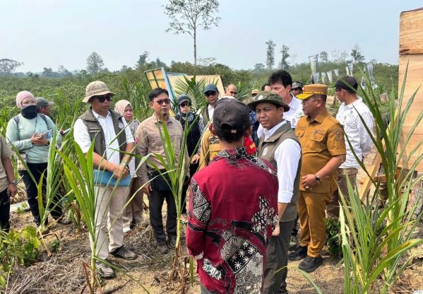 Menteri Kehutanan, Raja Juli Antoni, mengunjungi Pusat Konservasi Gajah (PKG) Jalur 21 Padang Sugihan