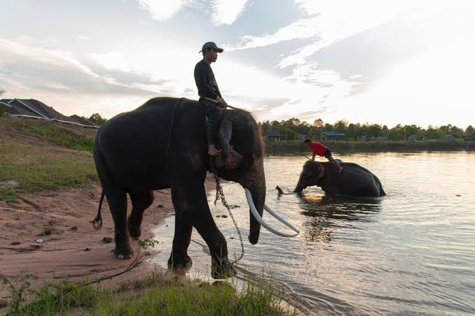 Industri Thailand Terbentur Masalah Air dan Gajah