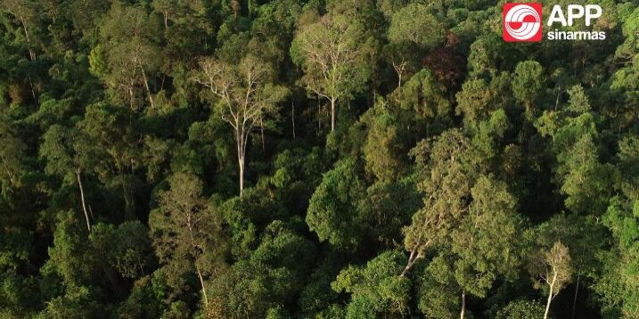 Berkomitmen dan mendukung FOLU NET SINK Indonesia 2030