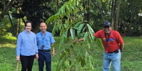 Bentuk nyata kegiatan penanaman pohon dilakukan di bantaran Sungai Cisadane

