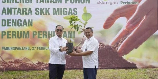 Perum Perhutani bersama Satuan Kerja Khusus Pelaksana Kegiatan Usaha Hulu Minyak dan Gas Bumi laksanakan gerakan menanam pohon