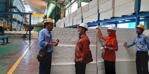 PT Lontar Papyrus Pulp & Paper Industry (LPPI)

