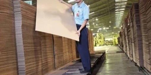 Indah Kiat Pulp and Paper Serang, anak perusahaan Asia Pulp and Paper. (Foto: dok. Indah Kiat)

