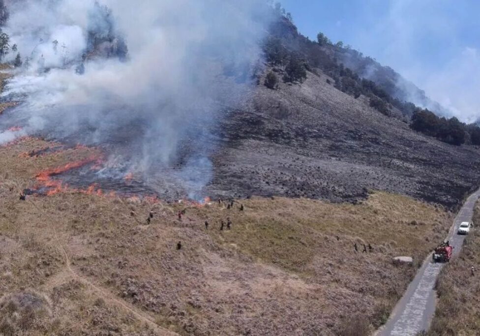 EGINDO | Wisata Gunung Bromo Ditutup Dampak Kebakaran