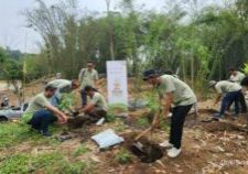 Sinar Mas Land melakukan penanaman pohon sebanyak 1200 pohon diberbagai tempat


