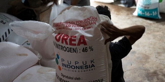Pupuk Subsidi dari Pemerintah