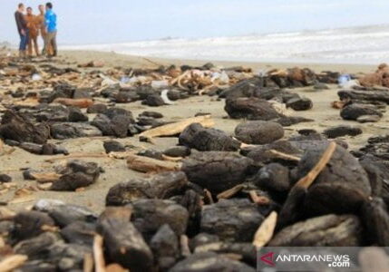 Petugas Dinas Lingkungan Hidup (DLH) Kabupaten Aceh Barat meninjau limbah batu bara yang mencemari kawasan pantai di Desa Peunaga Rayeuk, Kecamatan Meureuboe, Aceh Barat, Aceh