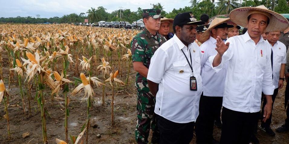 Food Estate Merauke 