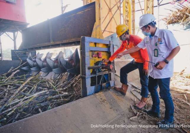 PTPN sebagai salah satu instrumen negara melalui PT Sinergi GulaNusantara (SGN) yang memiliki 36 pabrik gula (PG)