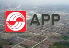 Asia Pulp and Paper (APP) Group 
