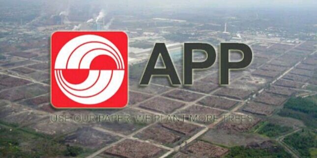 Asia Pulp and Paper (APP) Group 