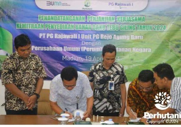 Perum Perhutani bersama PT Pabrik Gula Rajawali I Unit PG Rejo Agung Baru mendukung Swasembada Gula Nasional dengan kemitraan budi daya tanaman tebu musim tanam 2023/2024 untuk memenuhi kebutuhan bahan baku tebu giling.