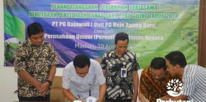 Perum Perhutani bersama PT Pabrik Gula Rajawali I Unit PG Rejo Agung Baru mendukung Swasembada Gula Nasional dengan kemitraan budi daya tanaman tebu musim tanam 2023/2024 untuk memenuhi kebutuhan bahan baku tebu giling.