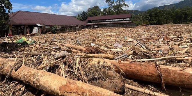 Kayu gelondongan pada banjir bandang dan longsor di Sumatera