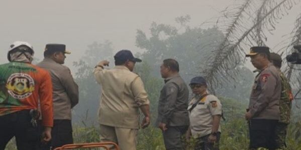 Kebakaran hutan dan lahan (karhutla) di Kalimantan dan Sumatera