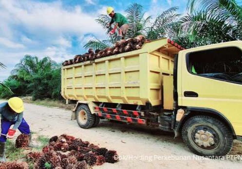 Holding Perkebunan Nusantara PTPN III (Persero) terus mengakselerasi pembentukan subholding lainnya, yakni PalmCo dan SupportingCo