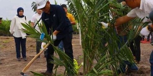 Direktur Utama PTPN IV PalmCo Jatmiko Santosa melakukan tanam perdana sawit mitra Koperasi Produsen Gading Jaya Makmur 