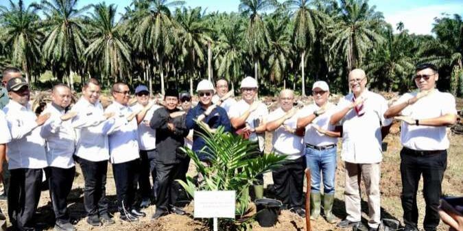 Subholding Perkebunan PTPN III (Persero), PT Perkebunan Nusantara IV melaksanakan tanam ulang kebun sawit petani KUD Tani Makmur di Desa Bukit Mas Kecamatan Besitang, Langkat Provinsi Sumatera Utara

