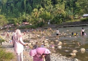 Mandi Balimao di Aek (sungai) Sirahar di Husor Kecamatan Barus Utara