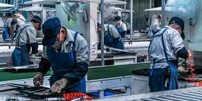 Aktivitas Pabrik Jepang Melambat