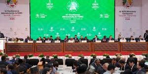 Anggota Organisasi Perdagangan Dunia (WTO) sepakat penolakan 