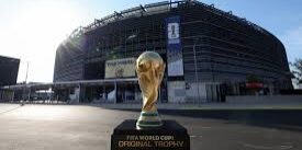 Asap kebakaran hutan berdampak kecil atas Final Piala Dunia