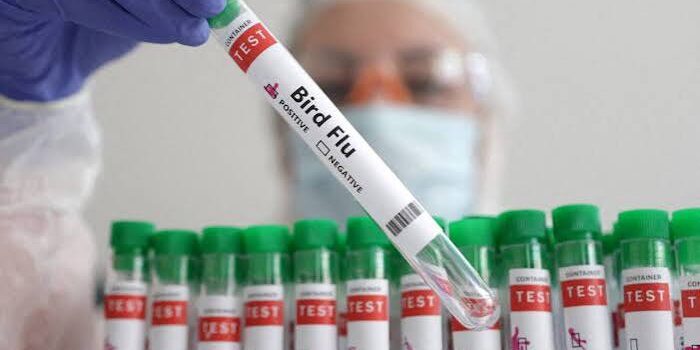 Australia Deteksi Kasus Pertama Flu Burung H5