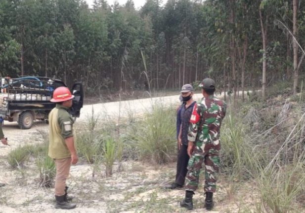 Tim RPK Arara Abadi Lakukan Penanggulangan Karhutla dengan berpatroli