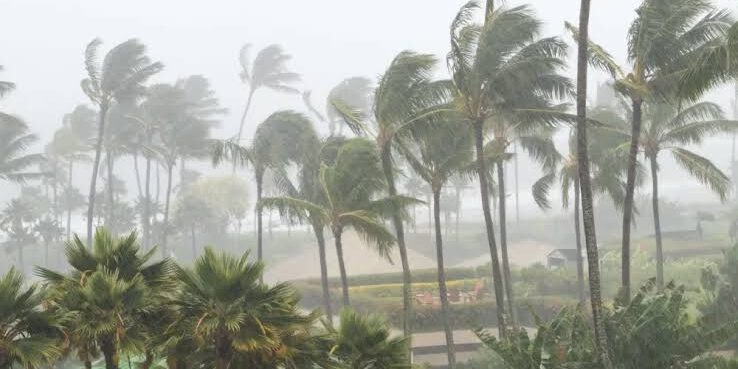 Badai Tropis Lala melanda Hawaii