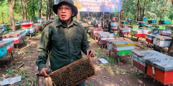 Bambang Sugeng, pemilik peternakan Madu Legit Nusantara di Kecamatan Tualang, Kabupaten Siak. (Foto: dok APP Group)
