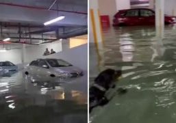 Banjir Di Parkiran Condo Balmoral Crescent - Singapura
