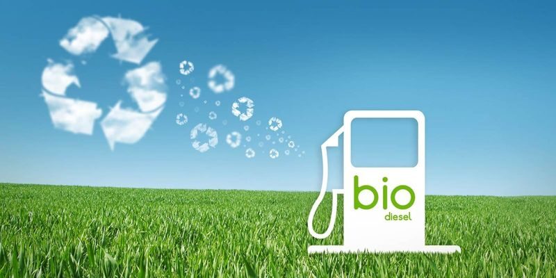  Kenaikan Bea Ekspor Minyak Sawit untuk Dukung Mandat Biodiesel