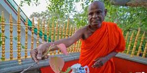 Biksu terkemuka Sri Lanka, Pallegama Hemarathana