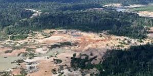 Brasil kehilangan area vegetasi asli yang menyusut akibat El Nino