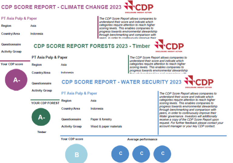 skor CDP 2023