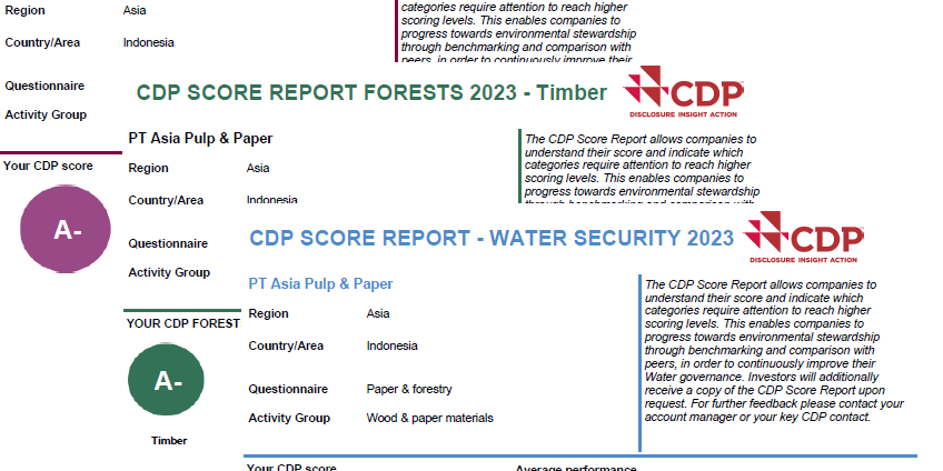 skor CDP 2023