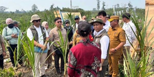 Menteri Kehutanan, Raja Juli Antoni, mengunjungi Pusat Konservasi Gajah (PKG) Jalur 21 Padang Sugihan
