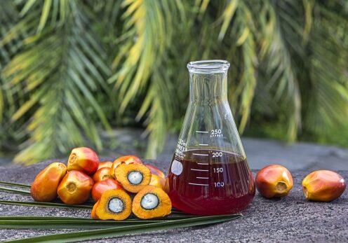 Crude Palm Oil 