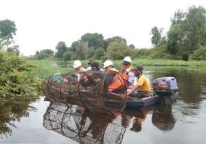 Team Speectra BRIN dan PT Arara Abadi-APP melakukan survey penentuan titik program di Perairan Sungai Mandau Kabupaten Siak Provinsi Riau (Foto: dok Arara Abadi-APP)


