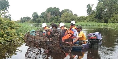 Team Speectra BRIN dan PT Arara Abadi-APP melakukan survey penentuan titik program di Perairan Sungai Mandau Kabupaten Siak Provinsi Riau (Foto: dok Arara Abadi-APP)


