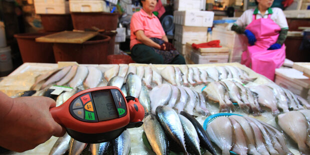 China larang impor makanan laut Jepang