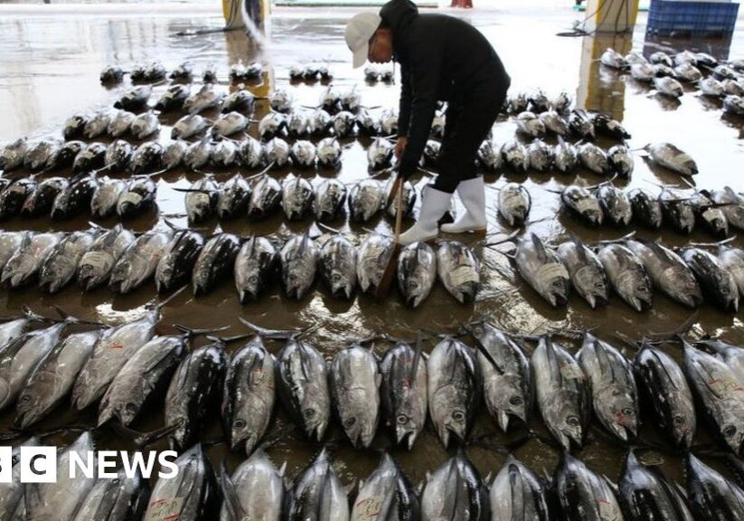 China melarang impor makanan laut Jepang