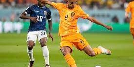 Cody Gakpo - Belanda