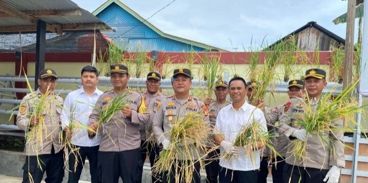 Kapolres Halmahera Timur AKBP H. Hidayatullah, S.H., S.I.K. bersama Forkompinda Kabupaten Halmahera Timur melaksanakan kegiatan Panen Perdana Aquaponik.