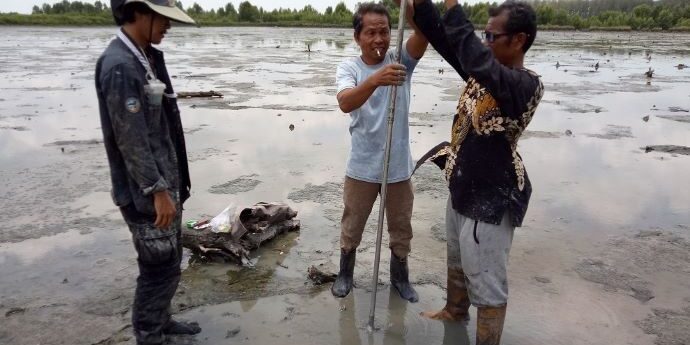 Program Mangrove Ecosystem Restoration Alliance (MERA) di pesisir OKI 