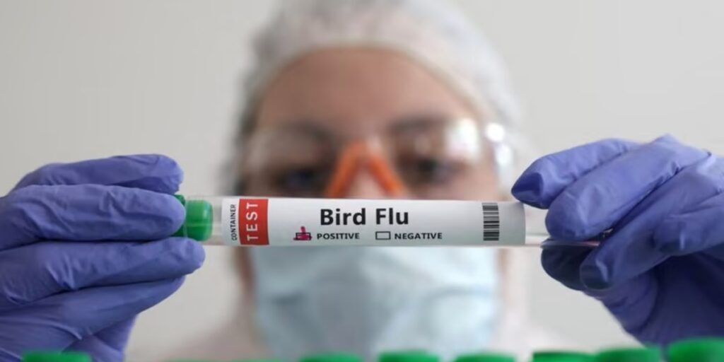 Flu Burung H3N8 di China